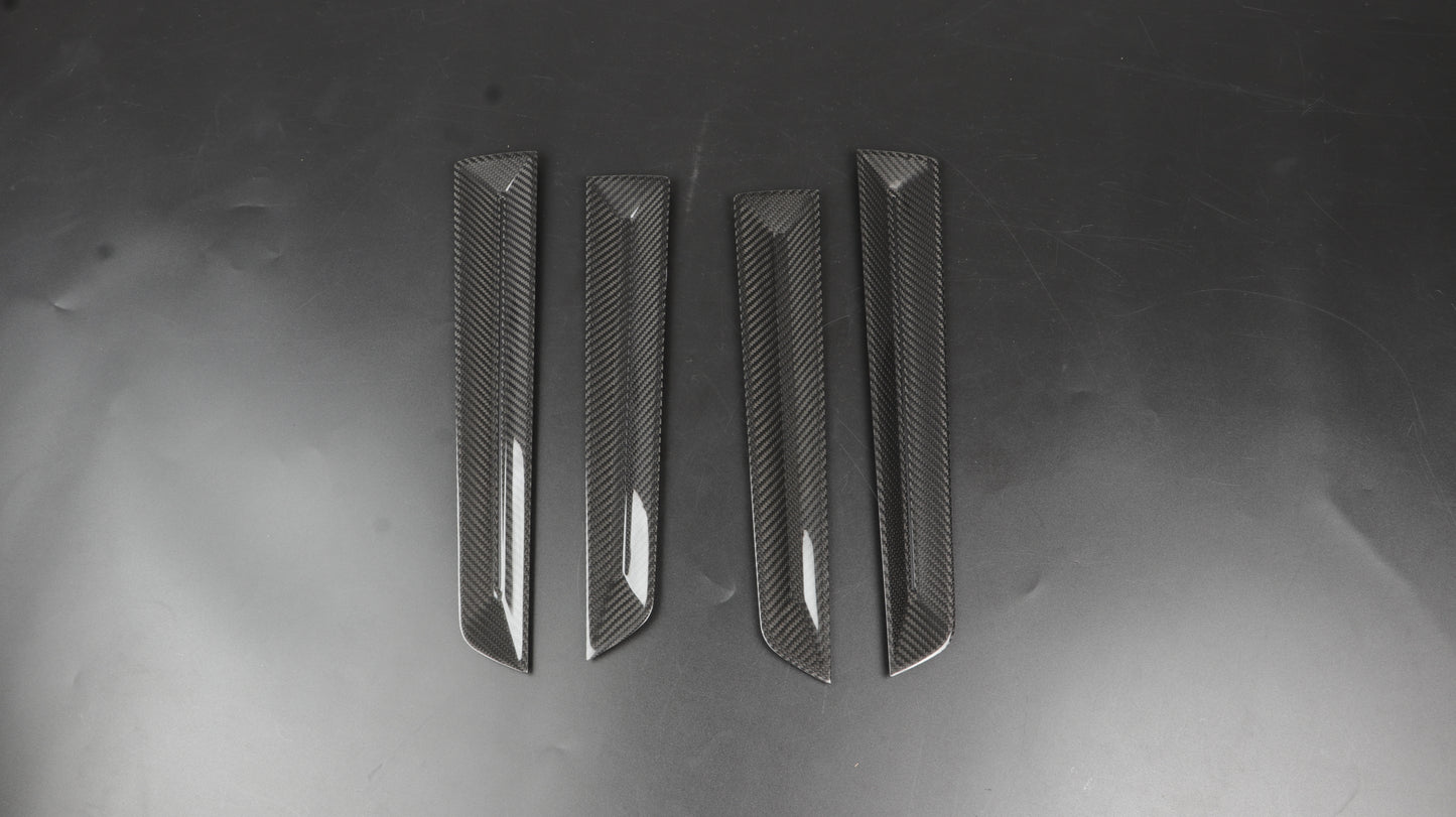 JSWAN Dry Carbon Fiber Door Trims 4pcs for Type R FL5 2023